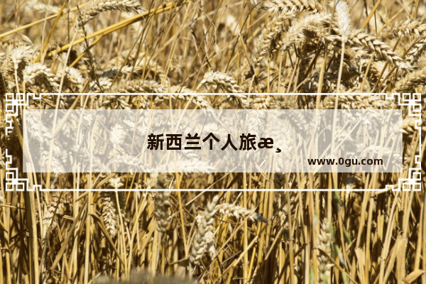 新西兰个人旅游签证需要哪些材料
