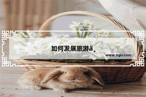 如何发展旅游业