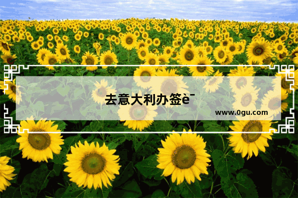 去意大利办签证需要什么条件呢