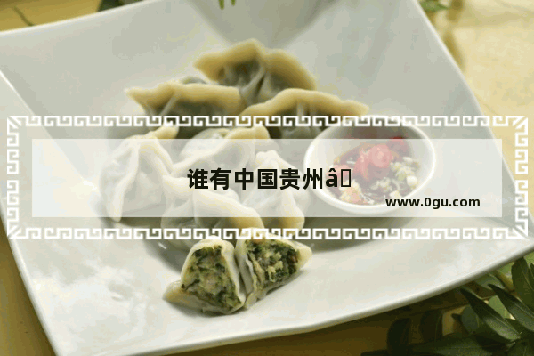 谁有中国贵州“天眼”参观小攻略吗