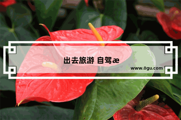 出去旅游 自驾游和跟团游哪个比较好？为什么