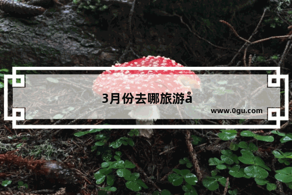 3月份去哪旅游好