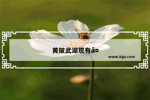 黄陂武湖现有多少人常驻人口