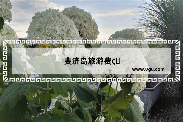 斐济岛旅游费用