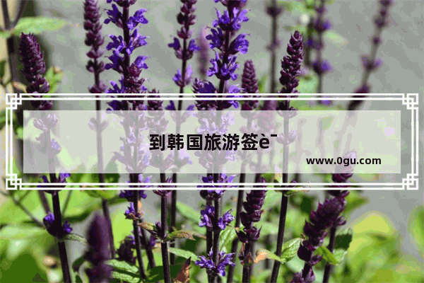 到韩国旅游签证最长时间是三个月吗？多少钱