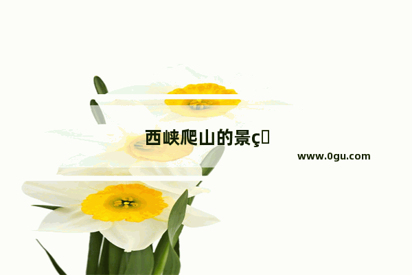 西峡爬山的景点