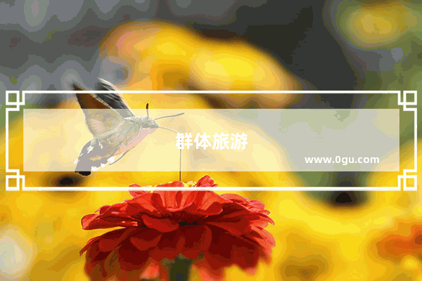群体旅游