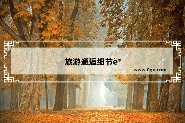 旅游邂逅细节讲述