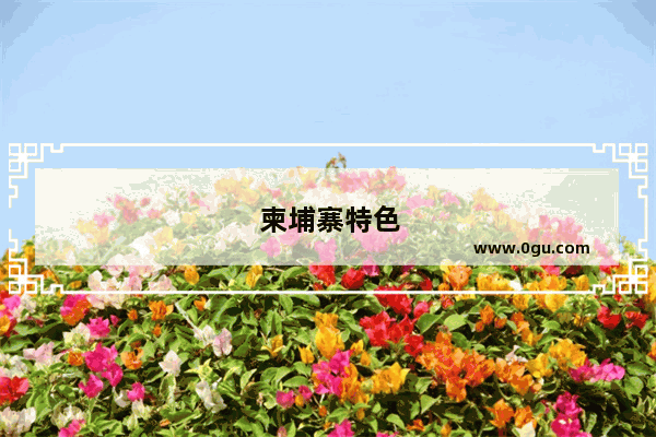 柬埔寨特色