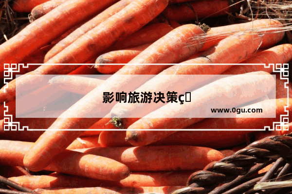 影响旅游决策的因素有哪些