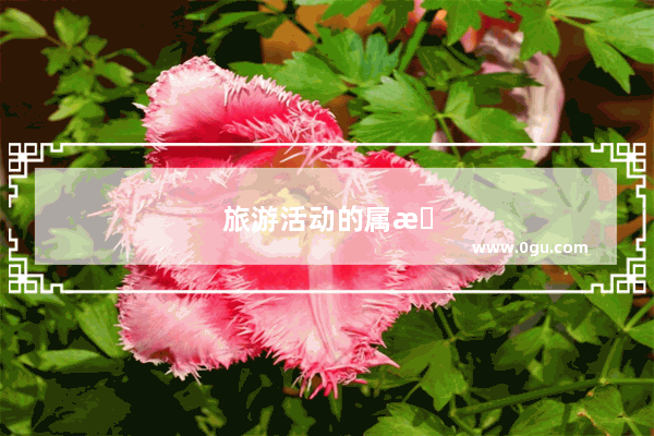 旅游活动的属性有哪些