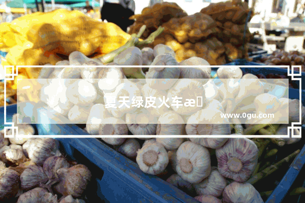 夏天绿皮火车旅游最佳路线