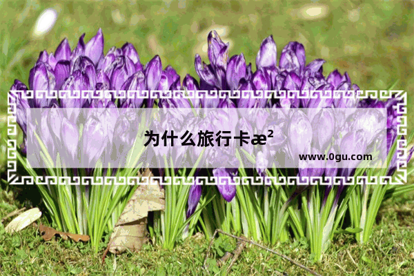 为什么旅行卡没信号
