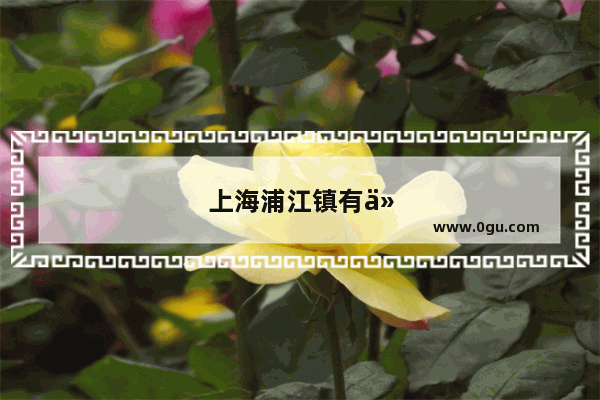 上海浦江镇有什么好玩的
