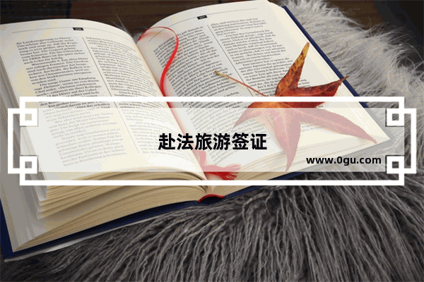 赴法旅游签证