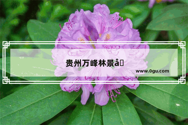 贵州万峰林景区为什么没有被列入长线旅游线路