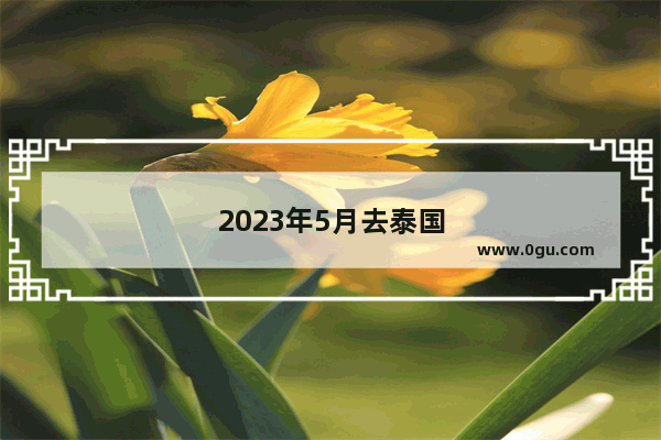 2023年5月去泰国最多能待多久