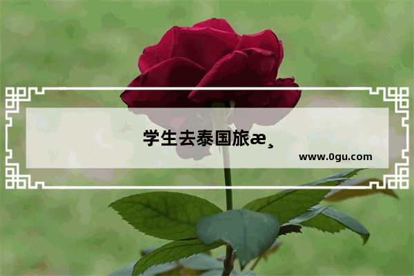 学生去泰国旅游需要办理什么手续