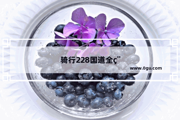 骑行228国道全程详细路线