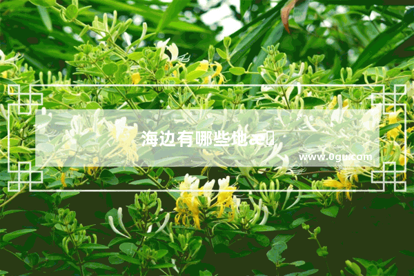 海边有哪些地方可以旅游
