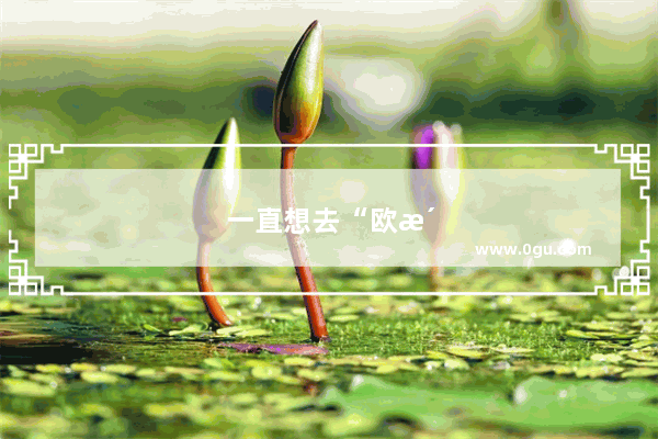 一直想去“欧洲游” 大家有没有好的建议？“跟团游或自由行”