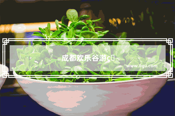 成都欢乐谷游玩策略