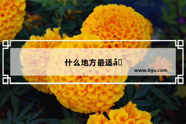 什么地方最适合夫妻旅游