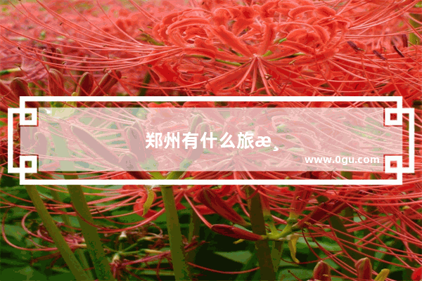郑州有什么旅游景点?