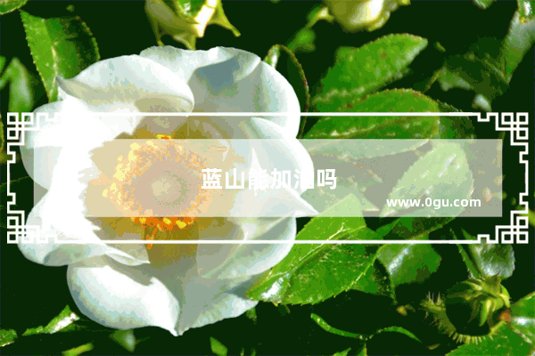 蓝山能加油吗