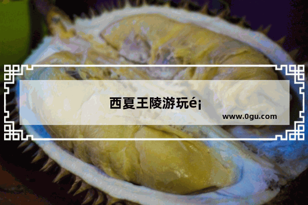 西夏王陵游玩顺序