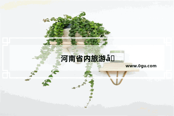 河南省内旅游团有哪些