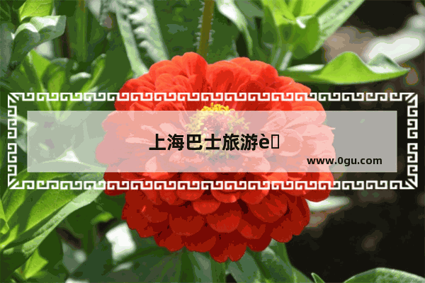 上海巴士旅游船务有限公司