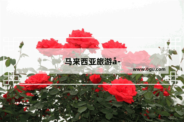马来西亚旅游季节最佳时间