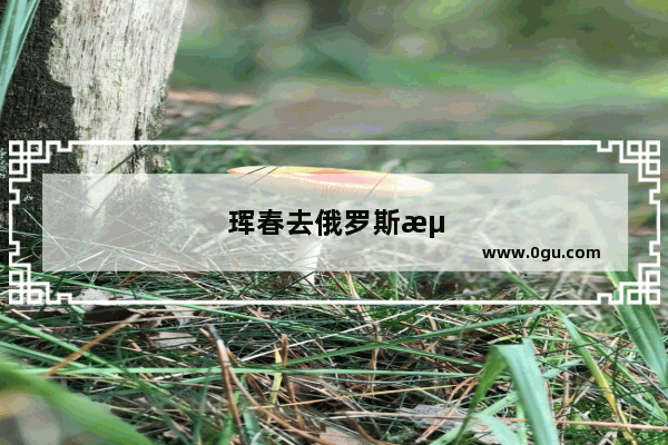 珲春去俄罗斯海参崴旅游签证