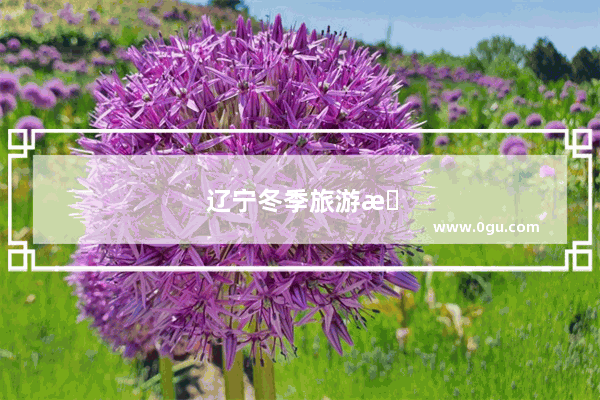 辽宁冬季旅游景点自驾游排行