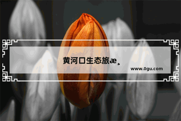 黄河口生态旅游风景区
