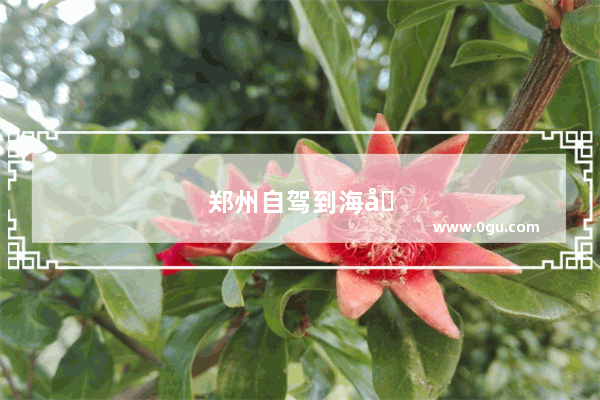 郑州自驾到海口沿途有什么好玩的风景