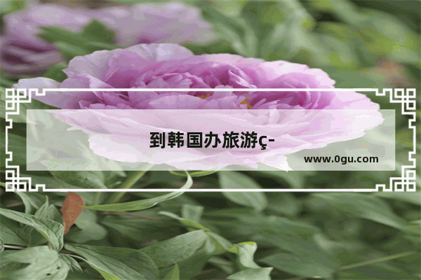 到韩国办旅游签证需要哪些手续？办理期限多久