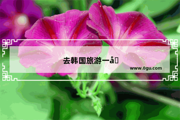 去韩国旅游一周大概需要多少钱