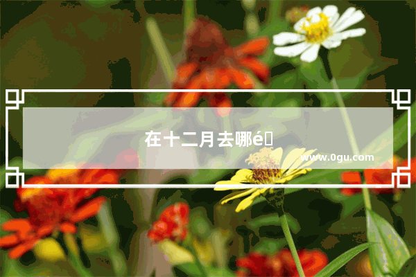 在十二月去哪里旅游合适？哪里的风景比较美
