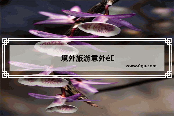 境外旅游意外险买哪家比较好？求推荐好一些的