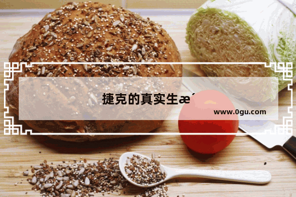 捷克的真实生活水平