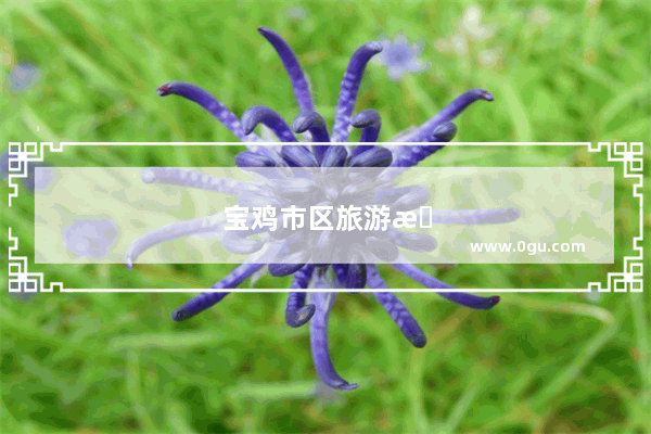 宝鸡市区旅游景点大全最近