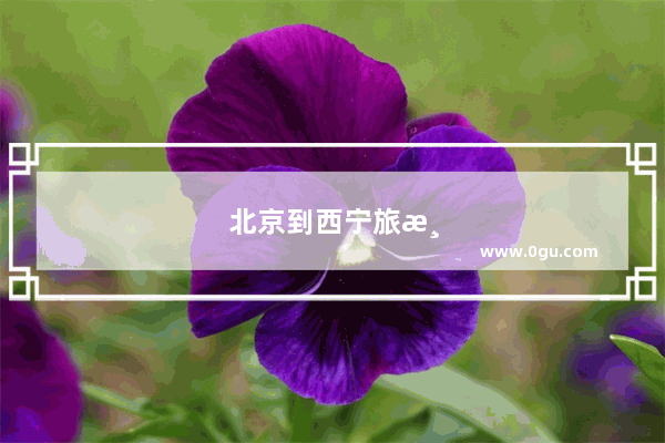 北京到西宁旅游