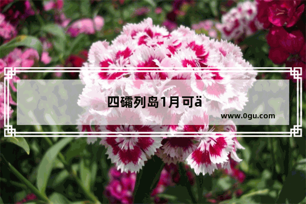 四礵列岛1月可以去吗