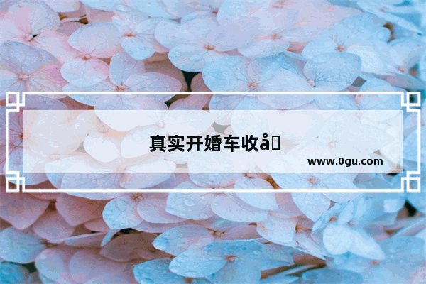 真实开婚车收入