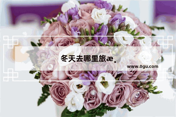 冬天去哪里旅游便宜又好玩 国内