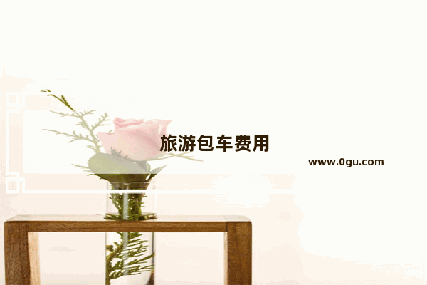 旅游包车费用