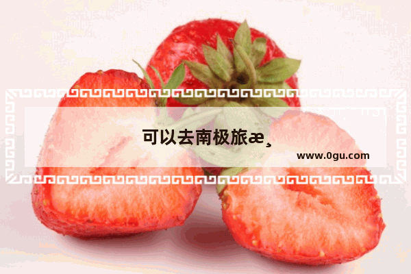 可以去南极旅游吗