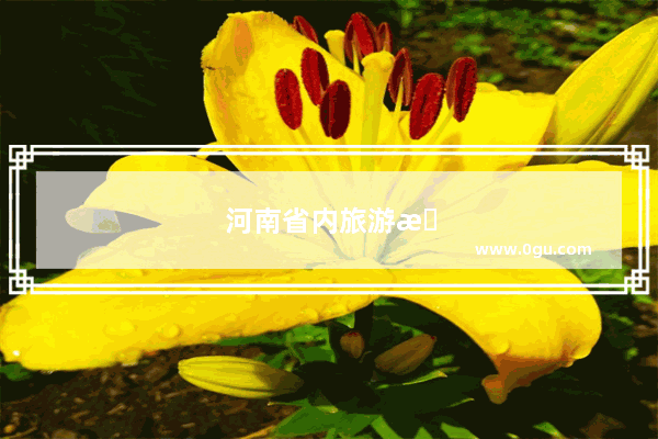 河南省内旅游攻略大全